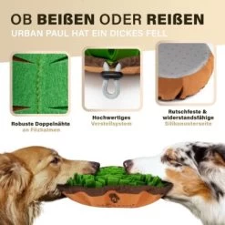 URBAN PAUL Schnüffelteppich - Grün -Heimtier Verkauf 41b69e30147446053fcf1ef3a5c0ef4e586c3637 1477263 de DE f3d4dc055420076a5d6665754e59033e977ead92pVbA3s