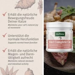 Aniforte 4in1 Complete Cat 60g -Heimtier Verkauf 433174568e18224fd341b5ca349c776d85d96ab2 1332844 de DE 0aa93cc915c5d5bb812b052b88179a1f5f51f297zDGJEt