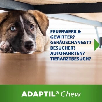 ADAPTIL Chew 30 Stück Anti Stress Snack 10 ADAPTIL Chew 30 Stück Anti Stress Snack – Bild 8
