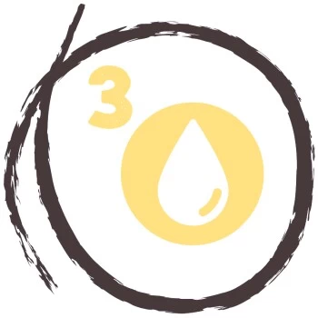 PREMIERE RAW KITCHEN 5-Pflanzen-Öl 250ml 6 PREMIERE RAW KITCHEN 5-Pflanzen-Öl 250ml – Bild 4