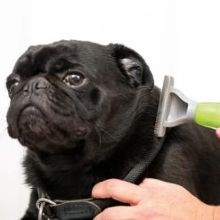 Moser Unterwollkamm 5 Moser Unterwollkamm -Heimtier Verkauf 4f9de70641d8a9385dbbc67be8ff3030b6fe8e4b ad8e2aa3fba89d15b3cb3029ec2051cc5481478e