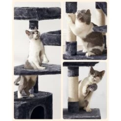 FEANDREA Katzenbaum 142cm Hellgrau Dunkelgrau 18 FEANDREA Katzenbaum 142cm Hellgrau Dunkelgrau -Heimtier Verkauf 5071281c5c78d6bb9462bee7f019c08f31cc23a6 1483569 de DE c7b97977490699e7b523c9b7a192ab5b0704d433CGxWn2