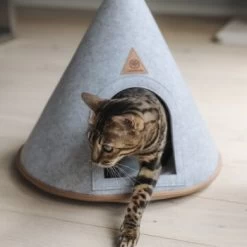 Canadian Cat Company Katzenzelt Cone 14 Canadian Cat Company Katzenzelt Cone -Heimtier Verkauf 5109d27ef761061b6b743871ab0498da3478f504 1394210 de DE f112ffaf078c6f8bf03764511a0d90aab2c21021HdDAgd