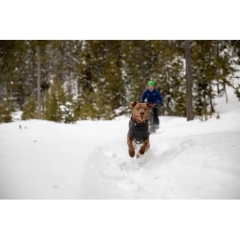 Ruffwear Climate Changer™ Fleece-Pullover Für Hunde Rot S 7 Ruffwear Climate Changer™ Fleece-Pullover Für Hunde Rot S – Bild 5