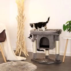 Lionto Kratzbaum 60 Cm Dunkelgrau -Heimtier Verkauf 54d2a2b2f0f85b4c59d70d90b3af4b4a58719f22 1657014 de DE 61b72444bd03e0597d0ec1256f587f38f03d3f6dXYdqkl