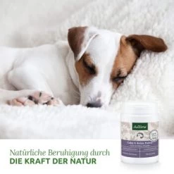 Aniforte Calm & Relax Kräuter 100g -Heimtier Verkauf 59d8edf488dbbfa5326d02c9bc480ebe764b40aa 1477975 de DE 8fdc0dbb13dd77bc918a019d832ea481c7670a35vrdXJ1