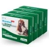 Dr. Fressnapf Wurm- & Giardientest Für Hunde Und Katzen 3+1 Gratis 2 Dr. Fressnapf Wurm- & Giardientest Für Hunde Und Katzen 3+1 Gratis -Heimtier Verkauf 5bc1dd3c4d973407aded534e48030732250228f3 1658546 0 Jahrespaket