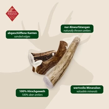 ChronoBalance Geweih Ganz (S) 2er Paket 8 ChronoBalance Geweih Ganz (S) 2er Paket – Bild 6