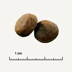 SELECT GOLD Sensitive Adult Maxi Lamm & Reis 4 Kg 14 SELECT GOLD Sensitive Adult Maxi Lamm & Reis 4 Kg -Heimtier Verkauf 5ecaef2283d09cae98f0e7d2e361f17e4011fde6 1081889007 de DE 6