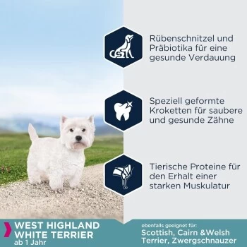 EUKANUBA Breed Specific West Highland White Terrier 2,5kg 6 EUKANUBA Breed Specific West Highland White Terrier 2,5kg – Bild 4