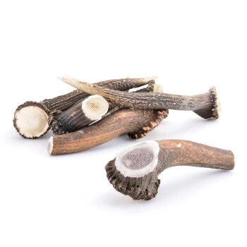 Larsson Geweih XXL Ca. 250-350g 3 Larsson Geweih XXL Ca. 250-350g