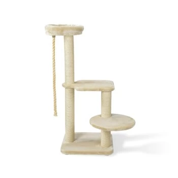 MORE FOR Kratzbaum Gaspar 3 MORE FOR Kratzbaum Gaspar