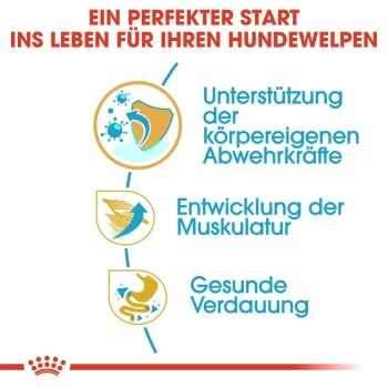 ROYAL CANIN Boxer Puppy 12 Kg 8 ROYAL CANIN Boxer Puppy 12 Kg – Bild 6