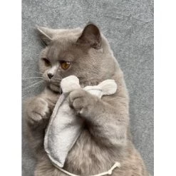 Kater Kasimir Premium Paket Mit 7 Beliebten Katzenspielzeugen Aus Naturmaterial -Heimtier Verkauf 69d850d83d44dd51ee163b4ce9871d685e5144a3 1408152 de DE 5e0e2fa341f3b7f13618444c260f3bc5df86140eIfTKHQ