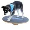 Altranet Fitpaws 20 Wobble Board 2 Altranet Fitpaws 20 Wobble Board -Heimtier Verkauf 6b3bbaeae3c0382f7bb151c1300fff960559718a 171bdc7d3481e8a87f6249b6e8ad5cc44472b295