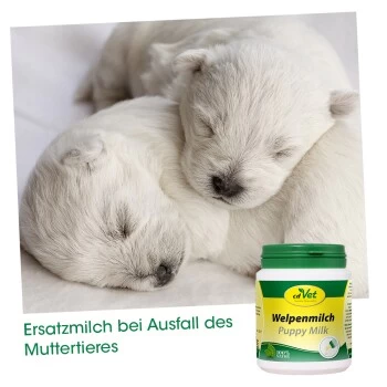 CdVet Welpenmilch 90g 90 G 4 CdVet Welpenmilch 90g 90 G – Bild 2