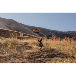 Ruffwear Hover Craft™ Spielzeug Orange 15 Ruffwear Hover Craft™ Spielzeug Orange -Heimtier Verkauf 7111f12b44323f3d6c15a85a889225520ab85f0d 1364297 de DE 664accd36f55b32e3ca302e20a868b09c8c0d85ePbTUSI