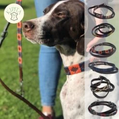 Kipita Polo Hundeleine Lively 11 Kipita Polo Hundeleine Lively -Heimtier Verkauf 723664551049d07ec68d4460c73d9e010a1f061e 1410956 de DE 625a832dcf10b95b1e48e9321358f0ba1de3b45ee0gteQ