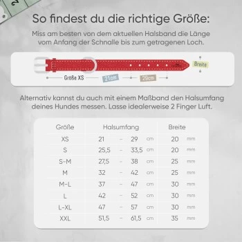 Freudentier Gefüttertes Halsband Aus Leder Rot L 4 Freudentier Gefüttertes Halsband Aus Leder Rot L – Bild 2