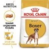 ROYAL CANIN Boxer Adult 12 Kg 1 ROYAL CANIN Boxer Adult 12 Kg -Heimtier Verkauf 7428a22a998bae277319ec8a859a404995e650b4 1892335f7938491fa90f85aa1772a3ef90fa1e33