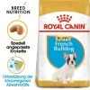 ROYAL CANIN Französische Bulldogge Puppy 10 Kg 1 ROYAL CANIN Französische Bulldogge Puppy 10 Kg -Heimtier Verkauf 760e22aff4677dc9d21afada482a9cb70d6ca729 86e4a004b5cecdd005fa1824de61f1babd17c37f
