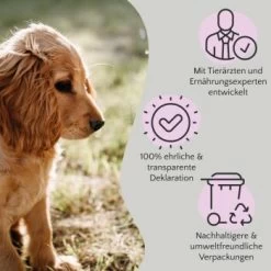 FAVLY Petfood FAVLY Probierpaket "Snack It" 13 FAVLY Petfood FAVLY Probierpaket "Snack It" -Heimtier Verkauf 76de882c7775b6f702fd4d6da347da46c83b7668 1475299 de DE 908544d2c24927cde4ce8f1acefe41ebea7bec29ERVYJt