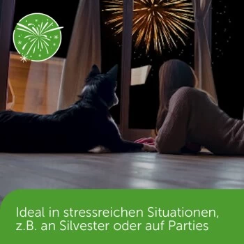 ADAPTIL Chew 30 Stück Anti Stress Snack 7 ADAPTIL Chew 30 Stück Anti Stress Snack – Bild 5