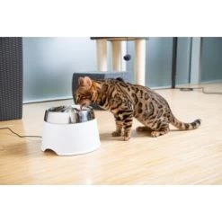 AniOne Edelstahl-Trinkbrunnen Trevi Ohne Ersatzfilter 7 AniOne Edelstahl-Trinkbrunnen Trevi Ohne Ersatzfilter -Heimtier Verkauf 7a066af048695bbfaeca0a855e5984fc3bf99d03 689fcf415d486ac05c07f2a4868b1d087d7a9ece