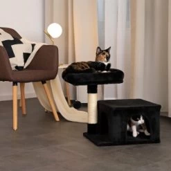 Lionto Kratzbaum 50 Cm Schwarz 10 Lionto Kratzbaum 50 Cm Schwarz -Heimtier Verkauf 7a4fdb048438d7541c9e09a10efabe693bc4320b 1657017 de DE 254b7c9c0cfdc7971bd88e8e452f13909c8f2c09Qbu3kJ