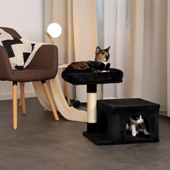 Lionto Kratzbaum 50 Cm Schwarz 5 Lionto Kratzbaum 50 Cm Schwarz – Bild 3