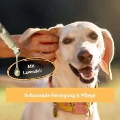 BeG Buddy Ohrreiniger Für Hunde, Juckreiz, Verschmutzung & Ohrmilben, Ohrenpflege Hund -Heimtier Verkauf 7b60a3022ebb426552422fbdc4dd8d77c64be8cf 1500787 de DE b51c870aaae4933941aa890d02263a49251d01d5OgvvjE