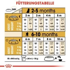 ROYAL CANIN Poodle Puppy 3kg 15 ROYAL CANIN Poodle Puppy 3kg -Heimtier Verkauf 7c356ad4610b8a705c3b24f682002d504aa26a06 03759a00ee1cb8701f90fe54c89729f207ade41a
