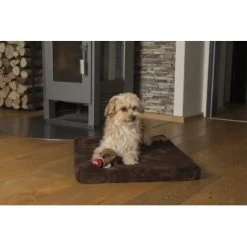 TrendPet VitaMedog Orthopädische 5 Cm Matratze Braun XS -Heimtier Verkauf 7d0faf17044fbc592bfd226ff10f00e095c469b0 1223160 de DE 8af483129b881c09ac13f204f7c52bc2733d451eq1MzCw