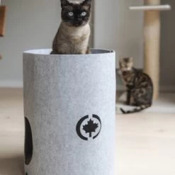 Canadian Cat Company Filzbett Owen-Tower 12 Canadian Cat Company Filzbett Owen-Tower -Heimtier Verkauf 7de15b7ab3d0a3da50a54b91f1a6b746b12be302 1394209 de DE 768a45a9be27cfd0fb27e1bf0942b4e67e500c7ee16ity