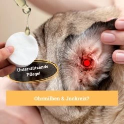 BeG Buddy Ohrreiniger Für Hunde, Juckreiz, Verschmutzung & Ohrmilben, Ohrenpflege Hund -Heimtier Verkauf 7e57ffedd36efe83c62c35bf2950e792a38dc962 1500787 de DE 4ccff8ce096d74f709ff92188adeaa6426f950e3pEPR1R