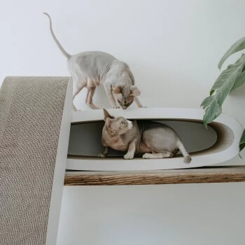 District 70 OVAL OFFICE 5 District 70 OVAL OFFICE – Bild 3