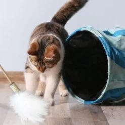 Kater Kasimir Premium Paket Mit 7 Beliebten Katzenspielzeugen Aus Naturmaterial -Heimtier Verkauf 84f221d79ef76f1b4f2f0037d329c11c6fce3a33 1408152 de DE 294269527f07b1898ca7562c986e956043828d3cA8xBpO