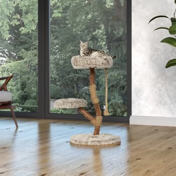 MORE Kratzbaum Kian 4 MORE Kratzbaum Kian â Bild 2