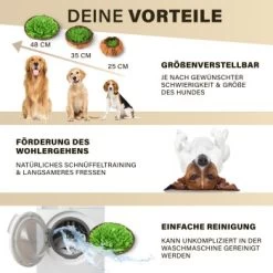 URBAN PAUL Schnüffelteppich - Grün -Heimtier Verkauf 88b1e83589eb6f9b9d6ae1ee9e00f76cd280ec72 1477263 de DE c4a0dff3ce61eff6f47a9625e837cb3fb18e27168j8mOa