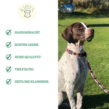 Kipita Polo Hundeleine Rainbow 8 Kipita Polo Hundeleine Rainbow – Bild 6