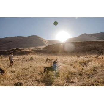 Ruffwear Hover Craft™ Spielzeug Orange 10 Ruffwear Hover Craft™ Spielzeug Orange – Bild 8