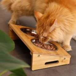 Lionto Futterstation Mit Bambusgestell -Heimtier Verkauf 8c56991d507e18b3df4a2f4045dbd93cd3bd9353 1665980 de DE aa6482f6e46fc6375e62da8010ac0599c0ca4960aJFeP6