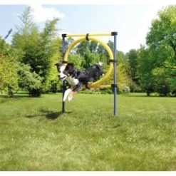 AniOne Agility Set 18 AniOne Agility Set -Heimtier Verkauf 8dd2c346cfba9b57b3f14270694b3f975d0558fa 8ae19109d8863c833405d8d5b2e72b4315e858f5