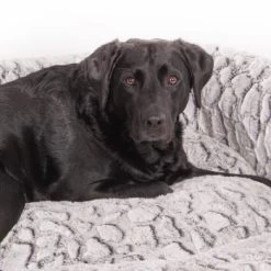 Wallace & Jones Hundebett Cordo-Heaven S -Heimtier Verkauf 8e084c327395b4ef79d8940f974ebd23a64309b7 1449008 de DE 044a9bd4bcc4f828504886aa452126d570985afe10T69n