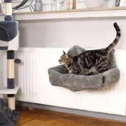 Lionto Katzenbett Für Heizungen Dunkelgrau 9 Lionto Katzenbett Für Heizungen Dunkelgrau -Heimtier Verkauf 92349d1d2fd4e32f76865505193cf9ee08e13e37 1665987 de DE a0d9dca6edf4833201f07bd00829ef66b5f25150oYmo2E