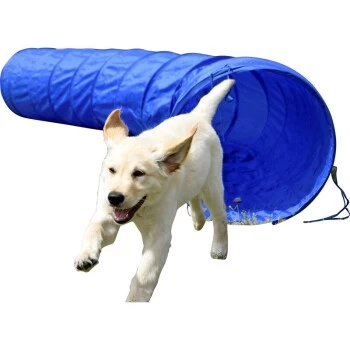 Dobar Agility Tunnel, 60 X 500 Cm 3 Dobar Agility Tunnel, 60 X 500 Cm