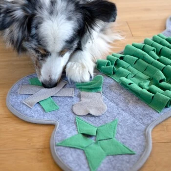 KaraLuna Schnüffelteppich Groß 8 KaraLuna Schnüffelteppich Groß – Bild 6