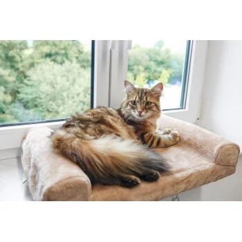 Kerbl Fensterliegebrett 4 Kerbl Fensterliegebrett – Bild 2