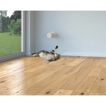 AniOne WANDKRATZSÄULE FÜR KATZEN 4 AniOne WANDKRATZSÄULE FÜR KATZEN – Bild 2