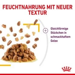 ROYAL CANIN SENSORY Taste In Gelee Für Wählerische Katzen 12x85g -Heimtier Verkauf a0a9a743b6a6722f849df958bc9024e93eba856b e74a0546ac96b90fff45a5cac73c2ea520ddf555